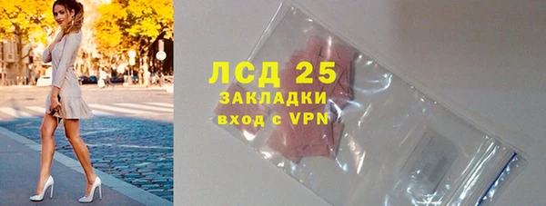 индика Белокуриха