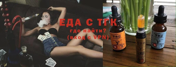 индика Белокуриха