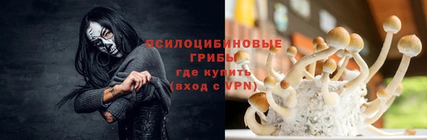 индика Белокуриха
