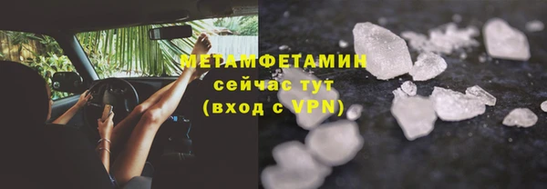 индика Белокуриха