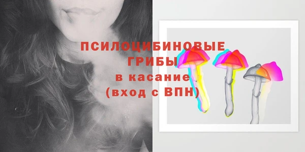 индика Белокуриха