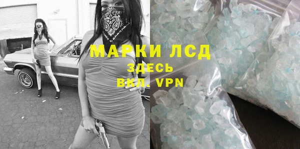 индика Белокуриха