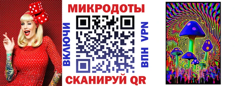 Купить  Циолковский  Галлюциногенные грибы Psilocybe 